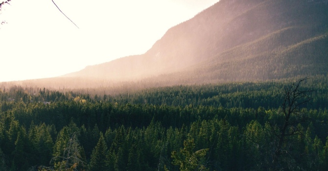 What's Going On When Your Hips Are Making Noise? image